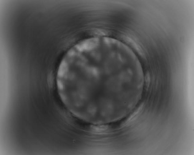 X0000091940359200709261936