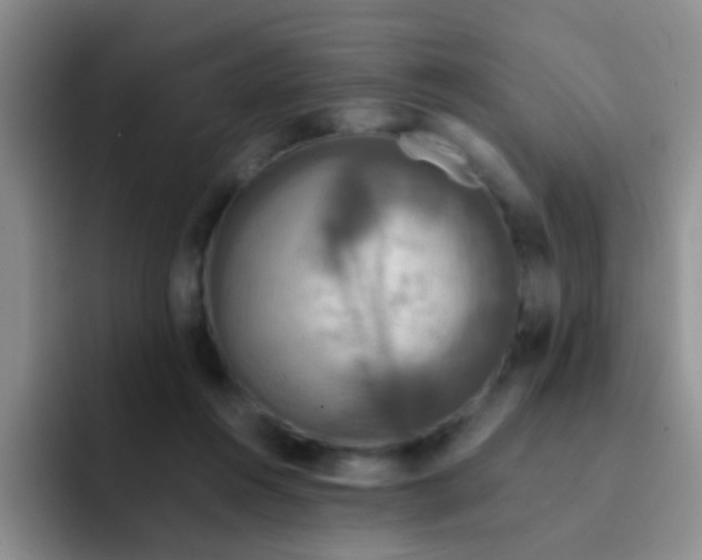 X0000091940360200709261936