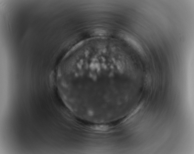 X0000091940361200709261937