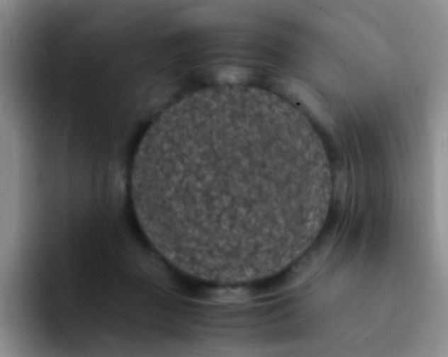 X0000091940363200709261937