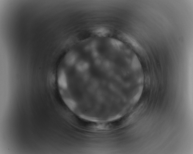 X0000091940365200709261937