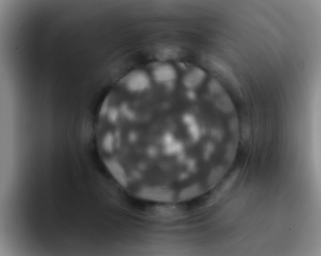 X0000091940367200709261937