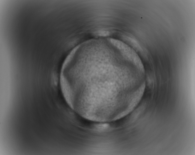 X0000091940374200709261937