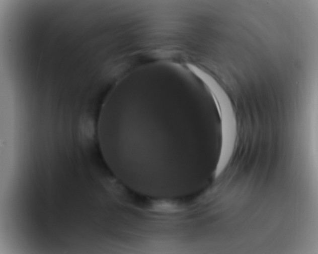 X0000091940380200709261937