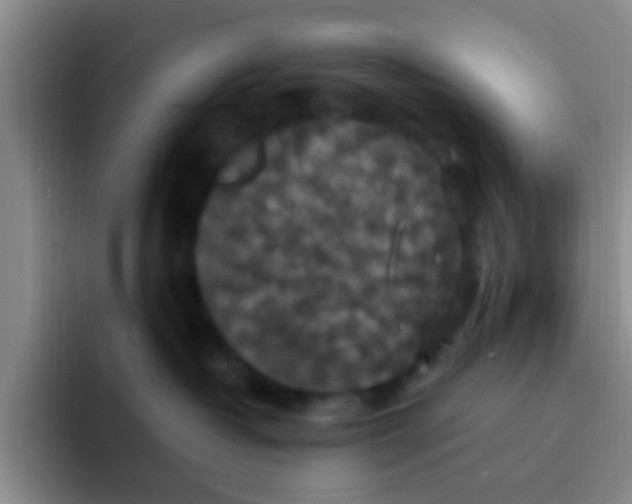 X0000091940382200709261937