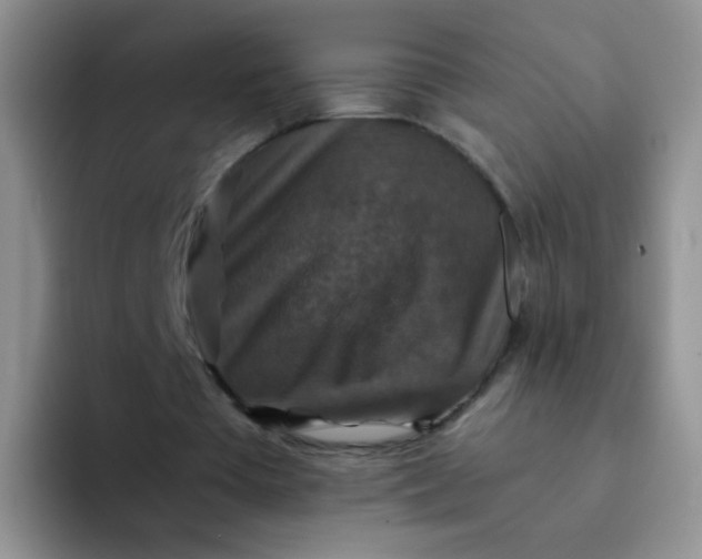 X0000091940385200709261936