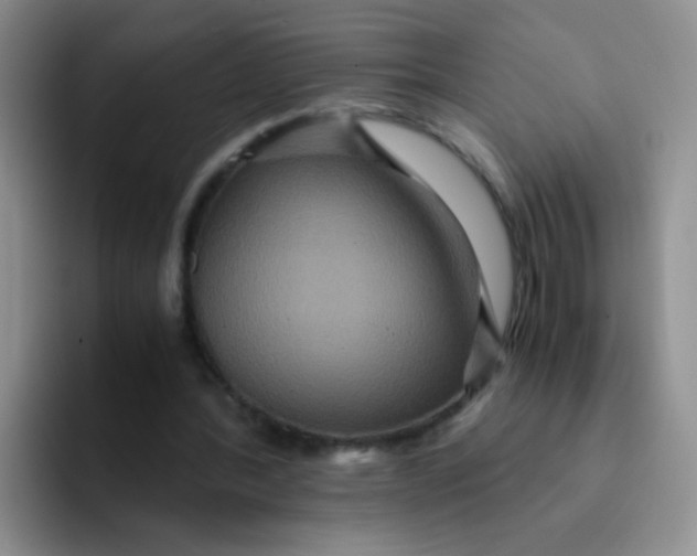 X0000091940388200709261936