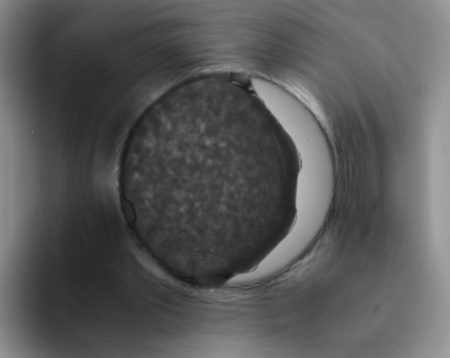 X0000091940389200709261936