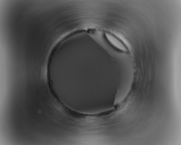 X0000091940391200709261936