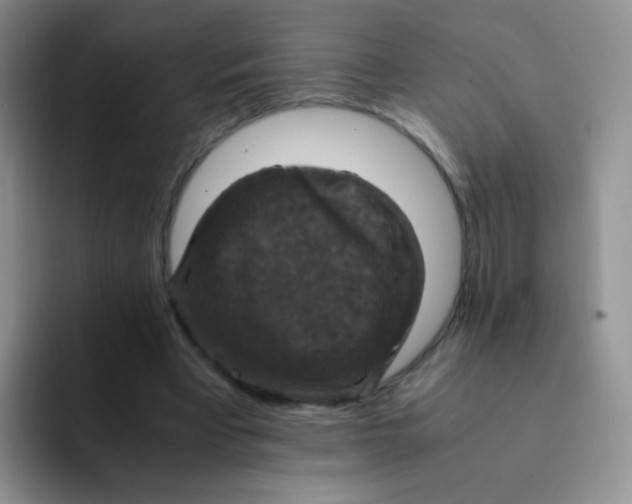 X0000091940393200709261936