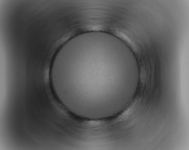 X0000091940394200709261936