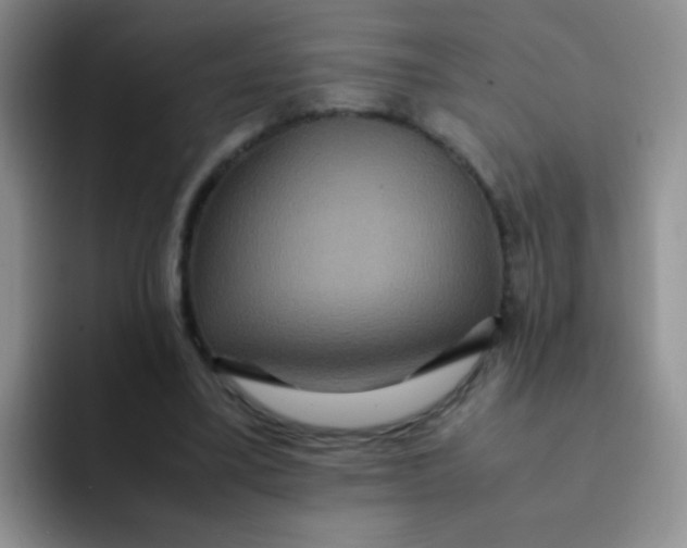 X0000091940395200709261936