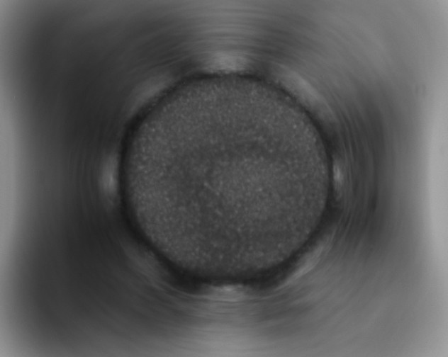 X0000091940396200709261936