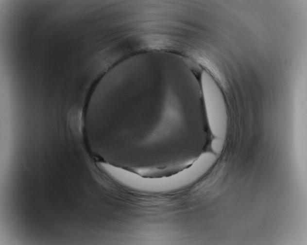 X0000091940397200709261936