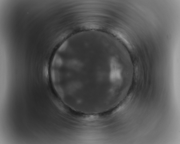 X0000091940398200709261936