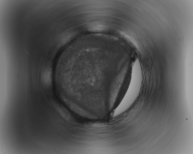 X0000091940400200709261936