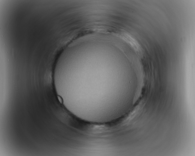 X0000091940401200709261936