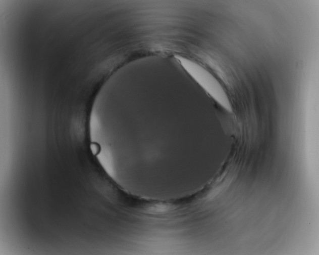 X0000091940402200709261936