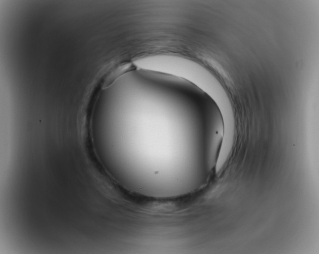 X0000091940403200709261936