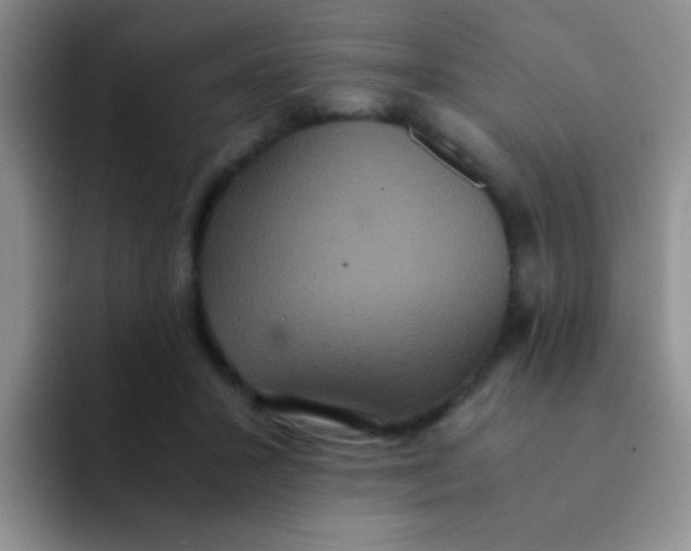 X0000091940407200709261936