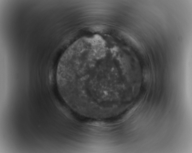 X0000091940408200709261936