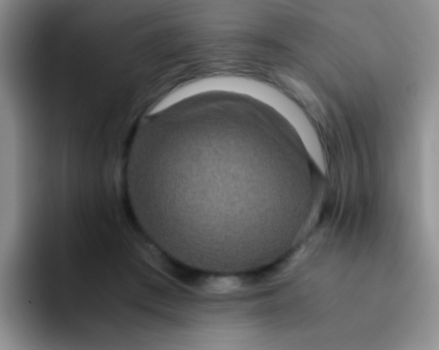 X0000091940409200709261936