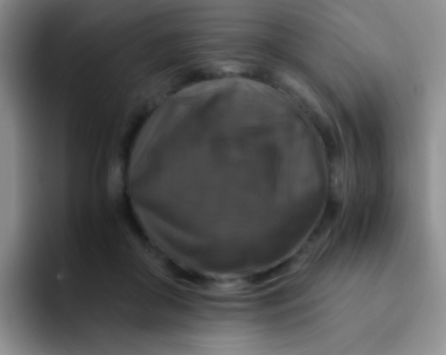 X0000091940410200709261936