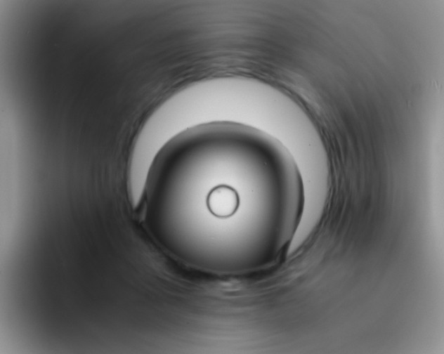 X0000091940411200709261936