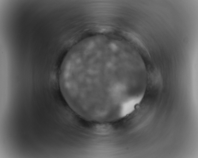 X0000091940415200709261936