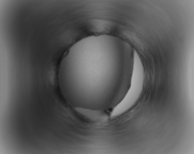 X0000091940416200709261936