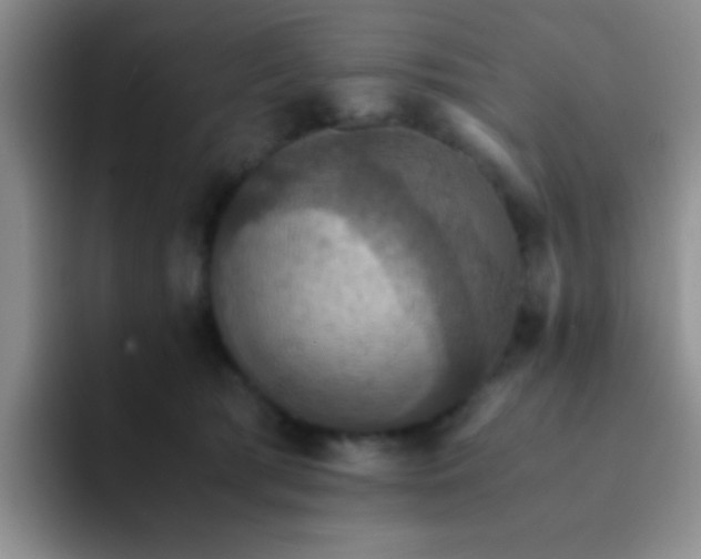 X0000091940417200709261936