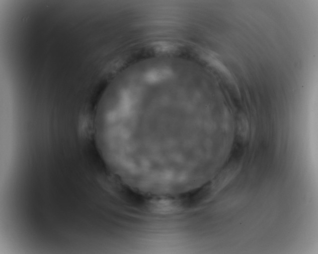 X0000091940419200709261936