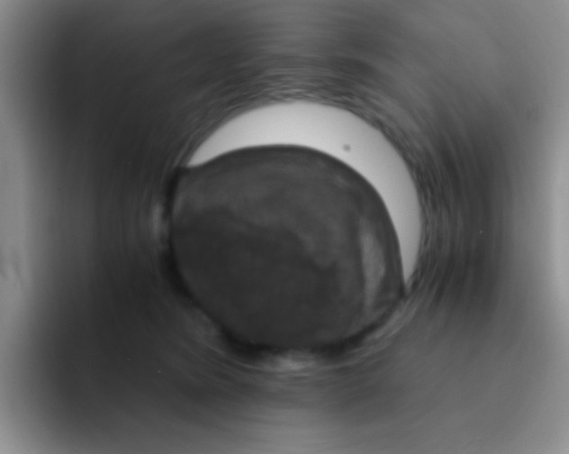 X0000091940420200709261936