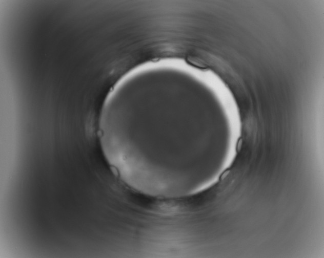 X0000091940423200709261936