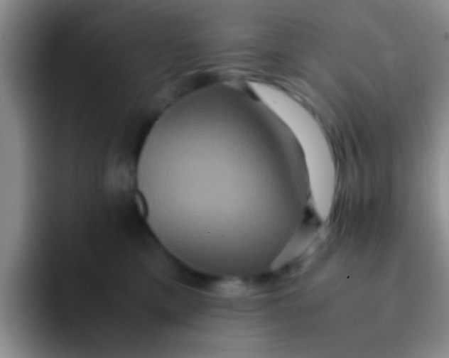 X0000091940425200709261936