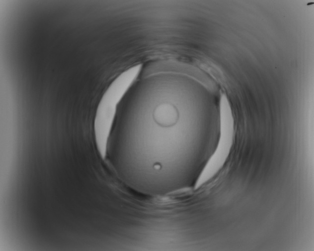 X0000091940429200709261936