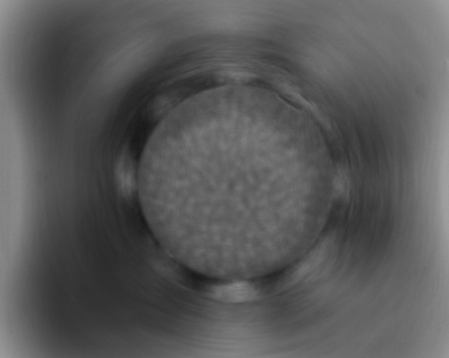 X0000091940431200709261936