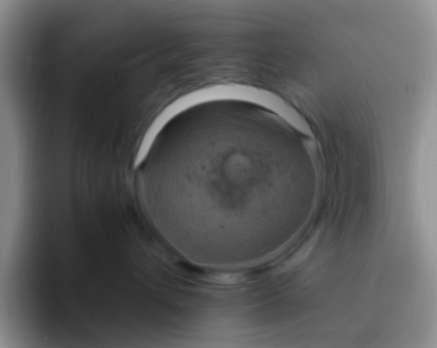 X0000091940432200709261936