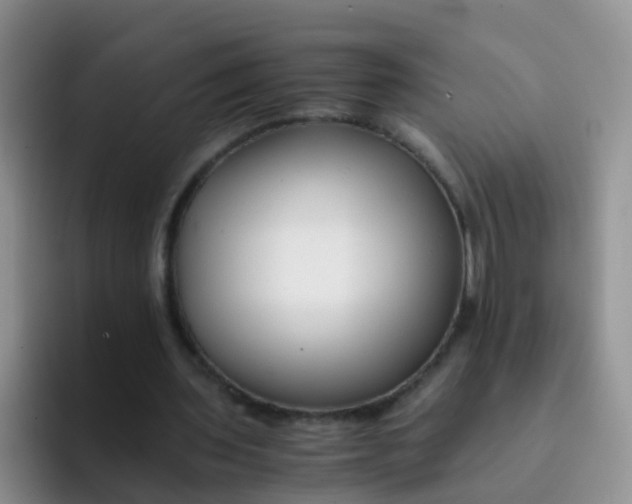 X0000091940435200709261935