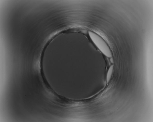 X0000091940438200709261935