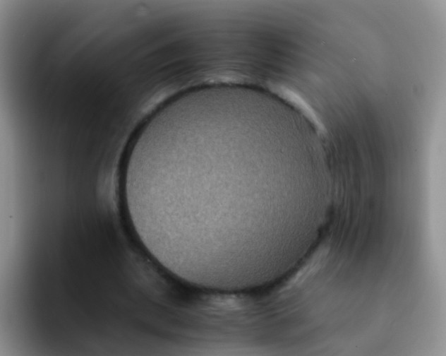 X0000091940439200709261935