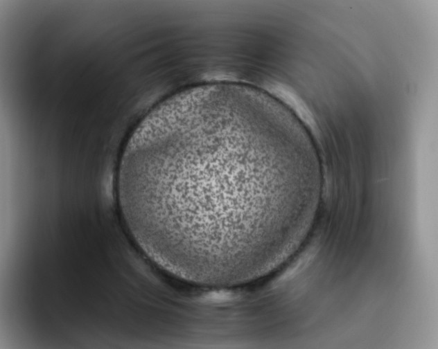 X0000091940441200709261935