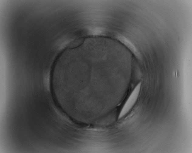 X0000091940442200709261935