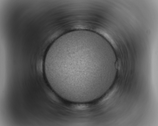 X0000091940445200709261935