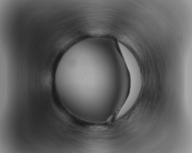 X0000091940448200709261935