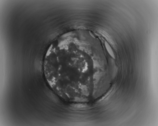 X0000091940449200709261935