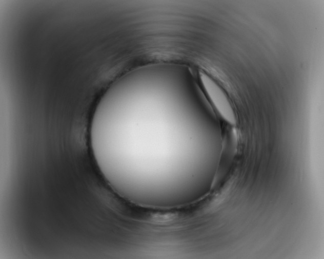 X0000091940450200709261935