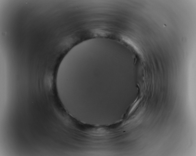 X0000091940451200709261935