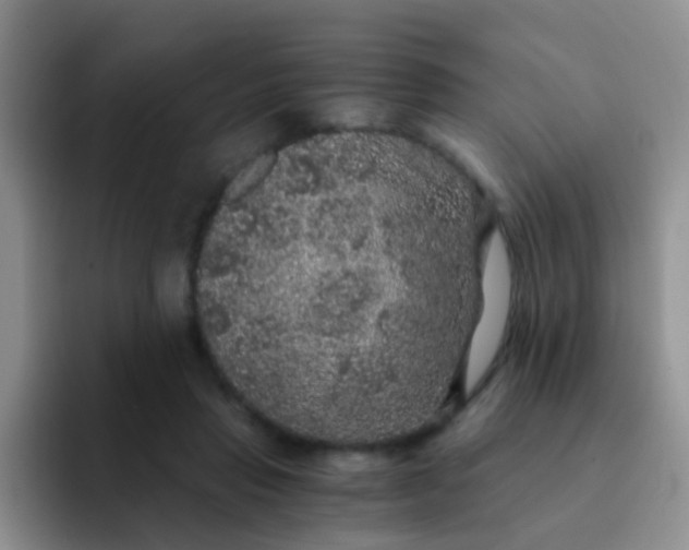 X0000091940453200709261935