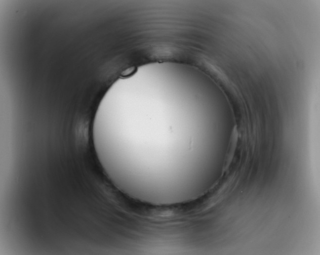 X0000091940454200709261935